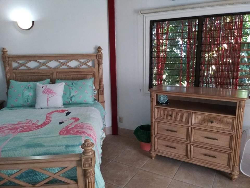 Mango Lodge, Costa Rica, Bungalow Rentals & Art Retreat Lagunillas 外观 照片