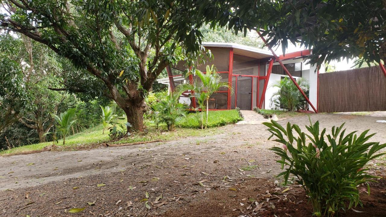 Mango Lodge, Costa Rica, Bungalow Rentals & Art Retreat Lagunillas 外观 照片